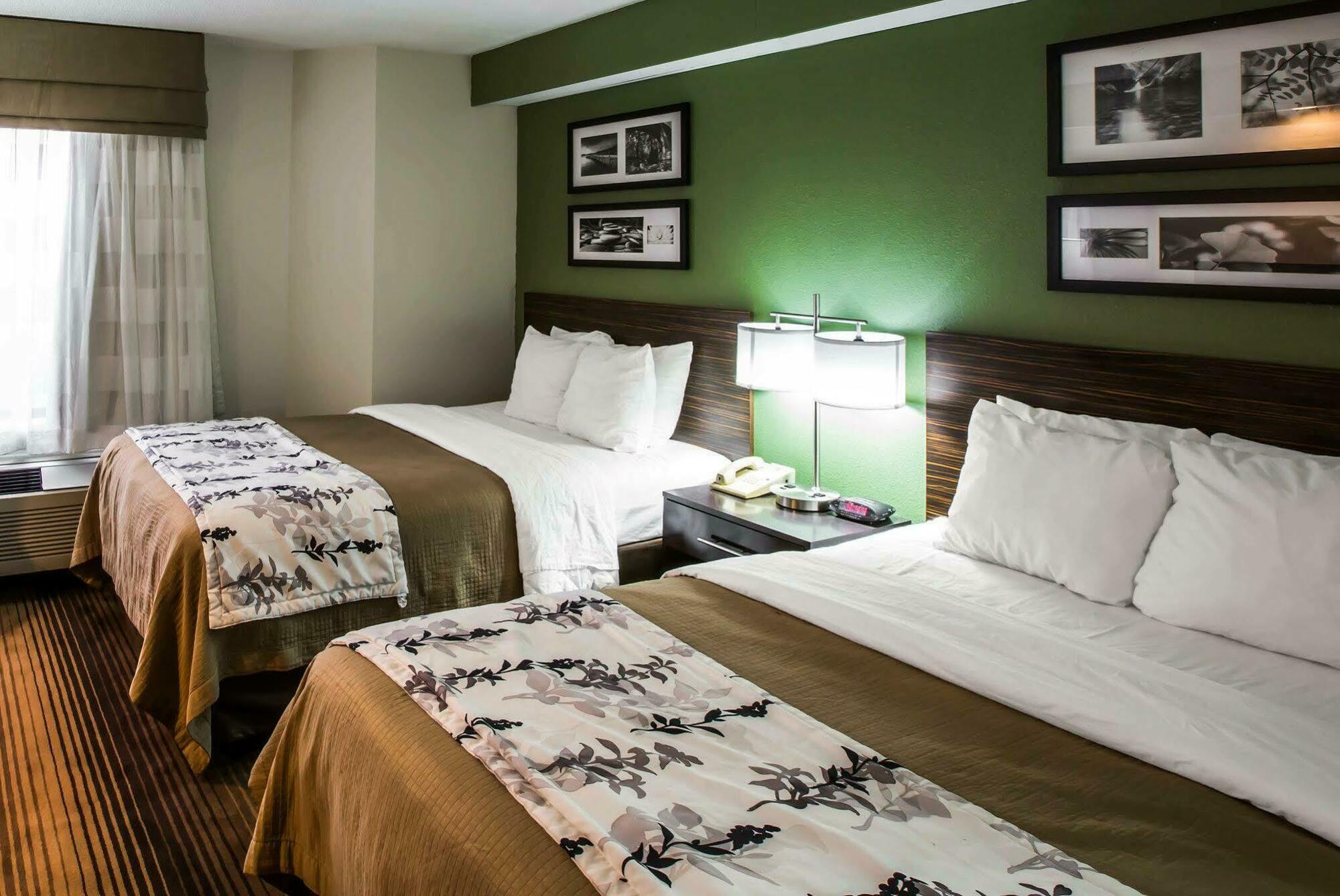 Sleep Inn & Suites Kingsport Tricities Airport Екстер'єр фото